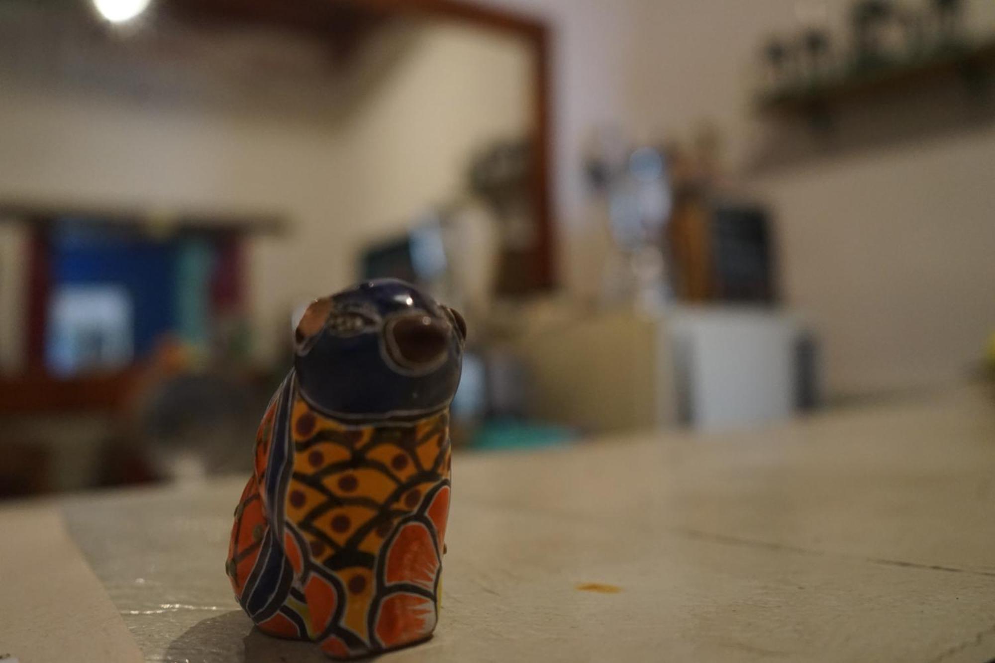 Hostalito Casa Alebrije Γκουαναχουάτο Εξωτερικό φωτογραφία